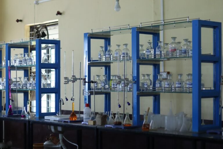 WhatsApp Image 2024-02-26 at 5.16.33 PM